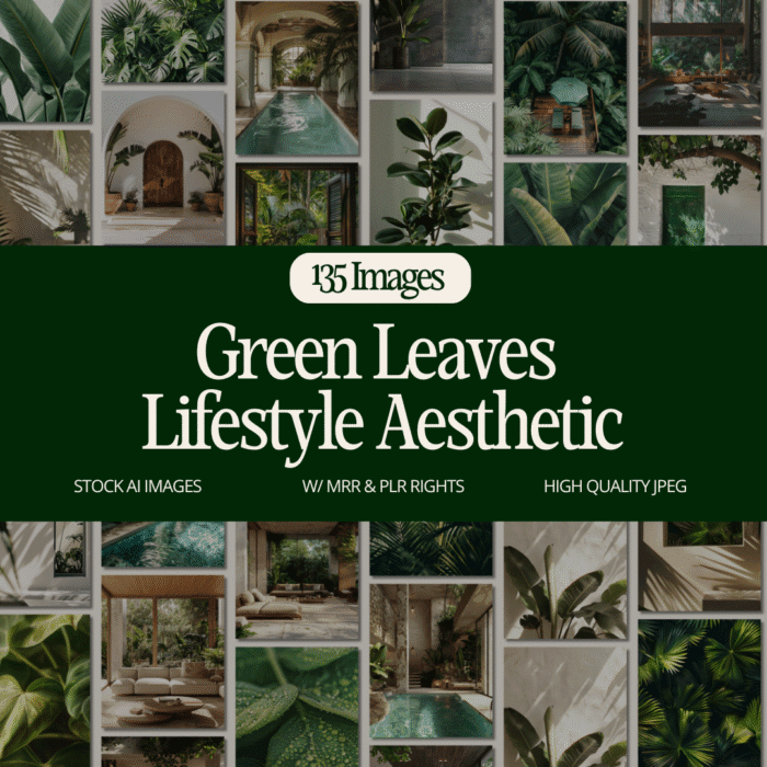 Aesthetic Stock Images Bundle - Image 1