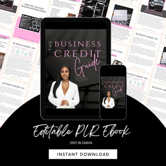 Business Credit Plr Ebook - Image 1