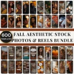 Fall Aesthetic Stock Photos with Master Resell Rights