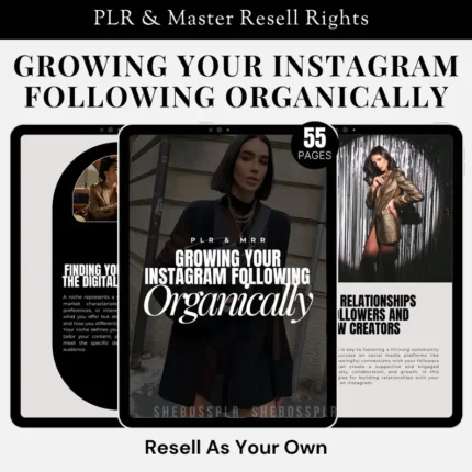 Instagram Following Guide & Reels Canva Templates